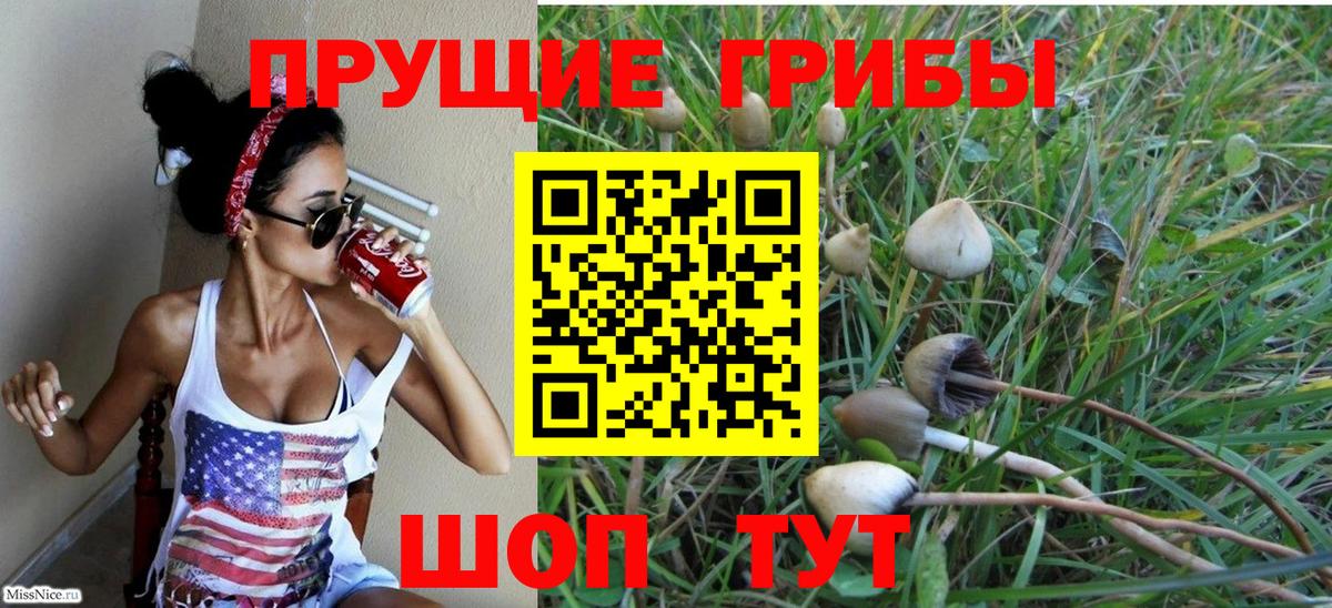 Псилоцибиновые грибы мицелий Мегион