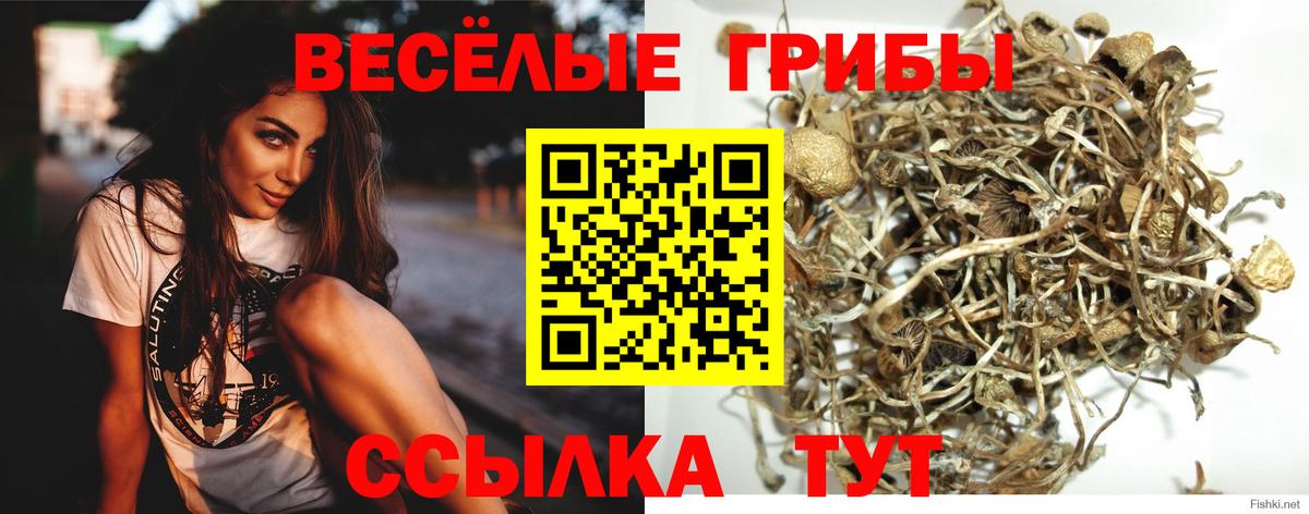 Мегион  Галлюциногенные грибы Psilocybe  Вход с VPN 